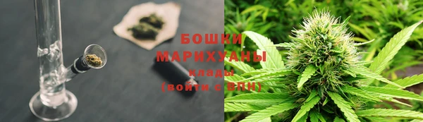 PSILOCYBIN Белоозёрский